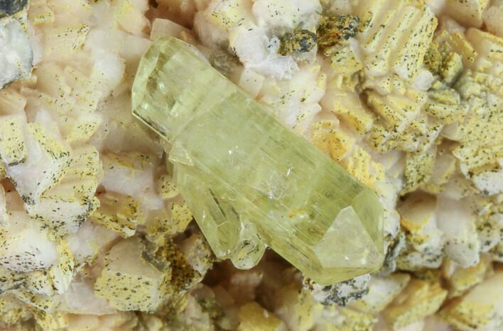 Lustrous Yellow Apatite Crystal on Feldspar - Morocco #84313